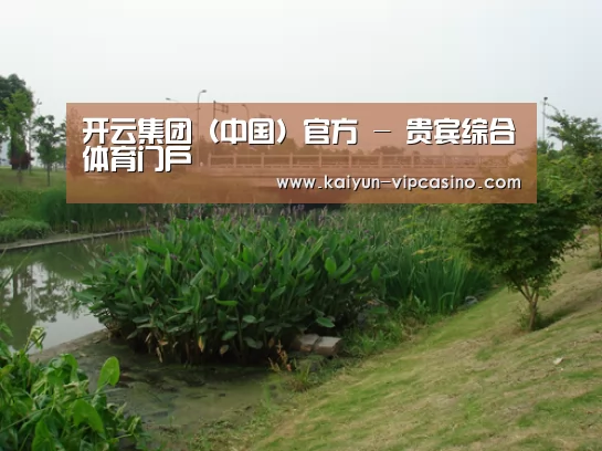案例展示四(图1)