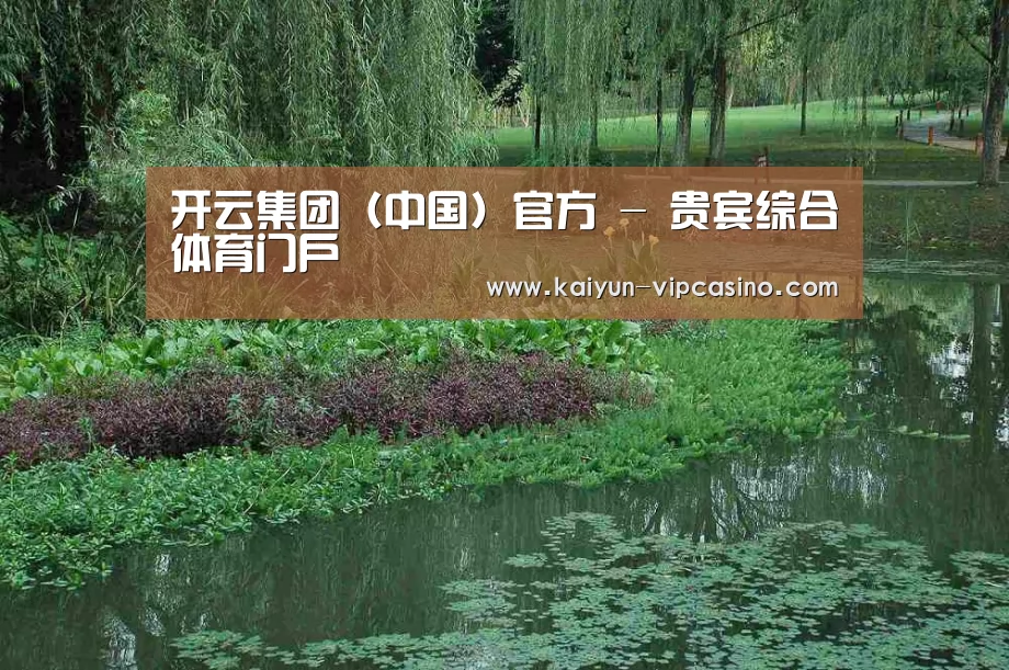 案例展示一(图1)