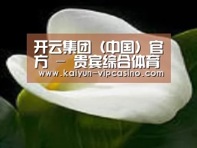 产品名称七