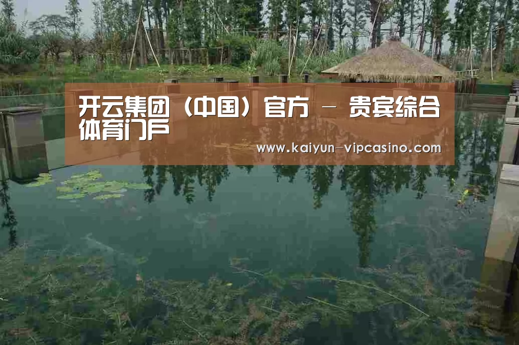案例展示二