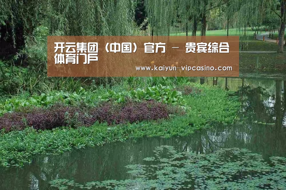 案例展示一