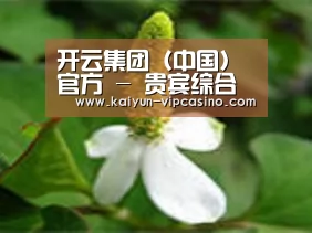 产品名称三