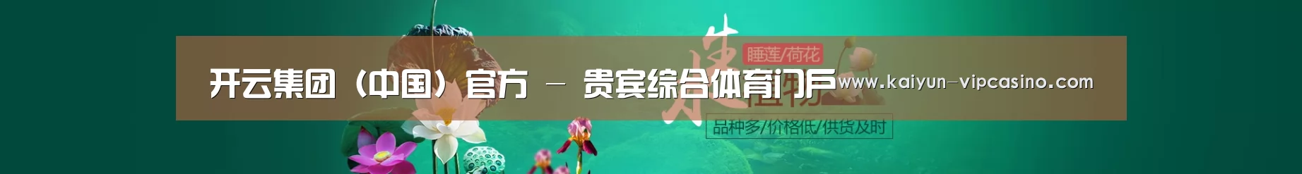 鲜花水草花卉网站模板
